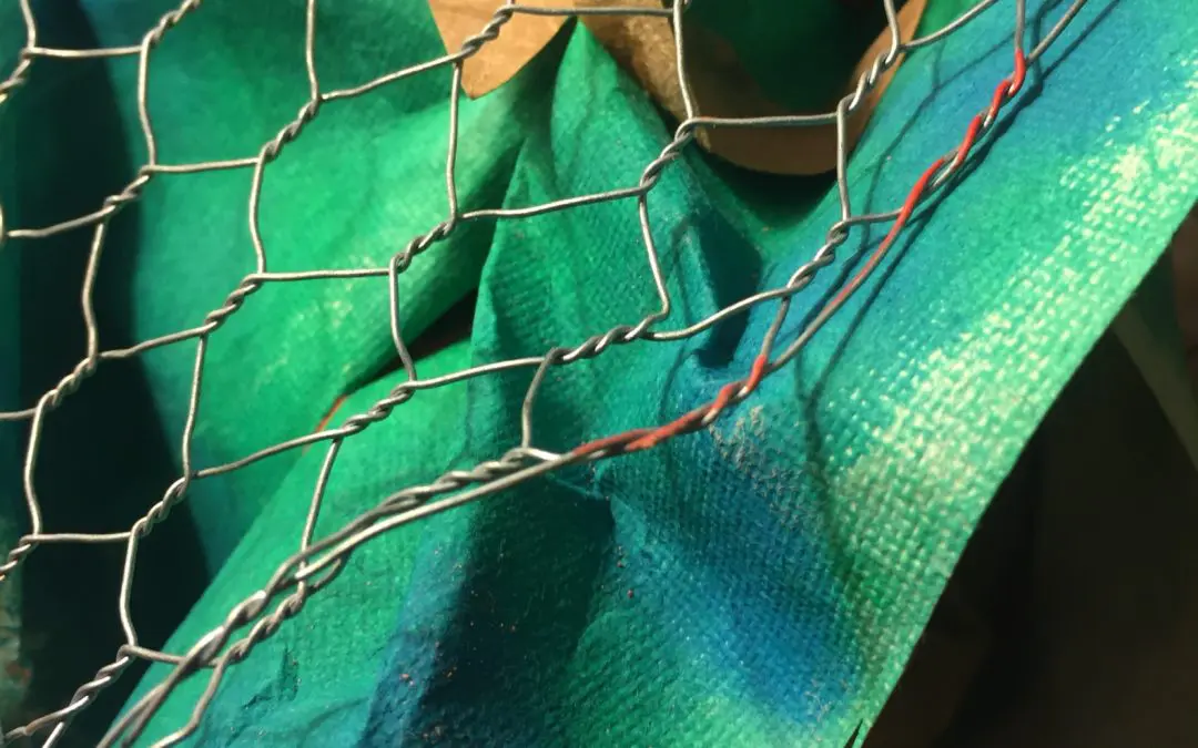 Grillage : Le matériau parental