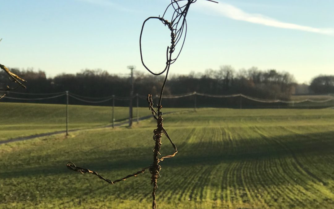 Dans son énergie entière