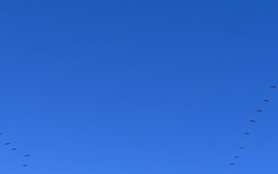 RETROSPECTIVE 2024#7