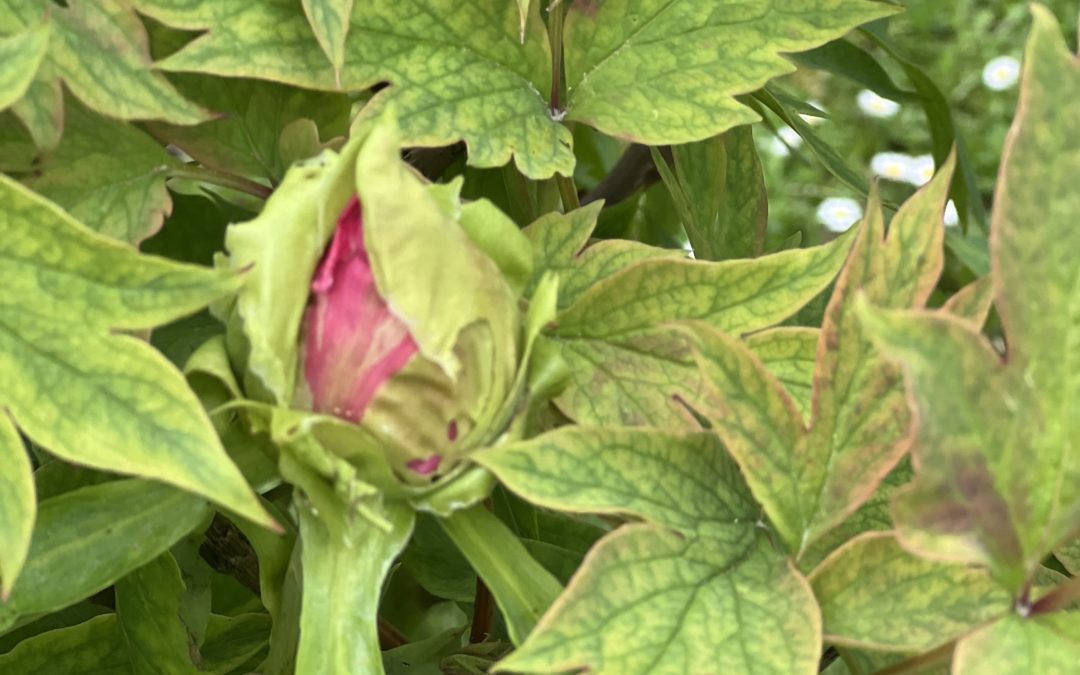 RETROSPECTIVE 2024#11