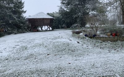 RETROSPECTIVE 2024#1